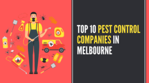 Read more about the article Top 10 Pest Control Companies In Melbourne