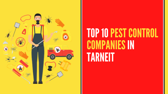 You are currently viewing Top 10 Pest Control Companies In Tarneit