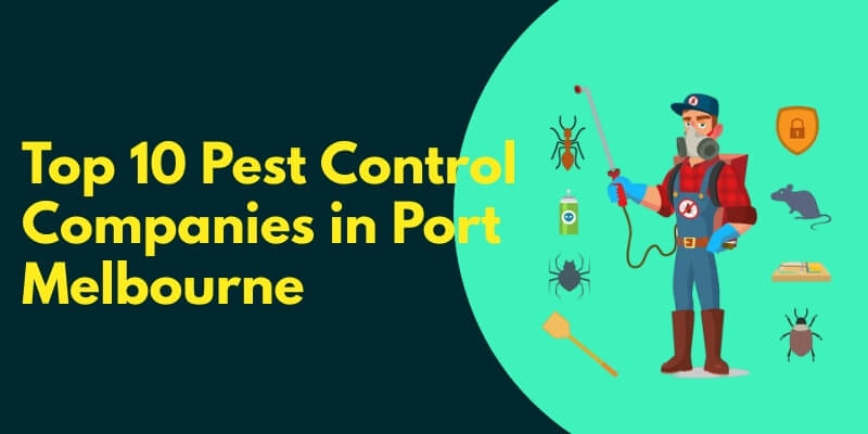 You are currently viewing Top 10 Pest Control Companies in Port Melbourne