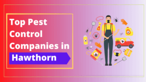 Read more about the article Top 10 Pest Control Companies in Hawthorn