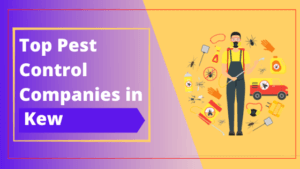 Read more about the article Top 10 Pest Control Companies in Kew