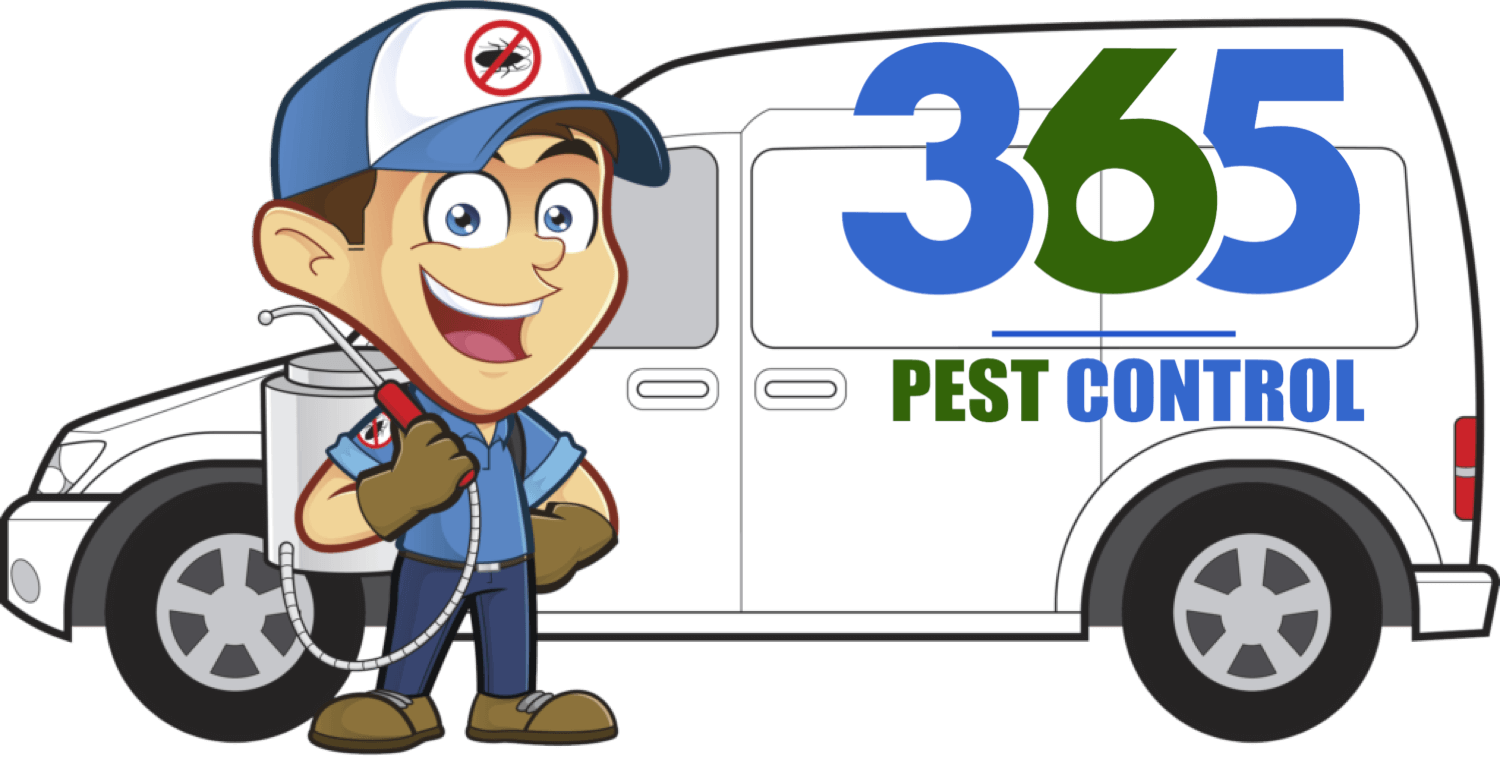 Pre Construction Pest Control Melbourne, Pre Construction Termite Treatment